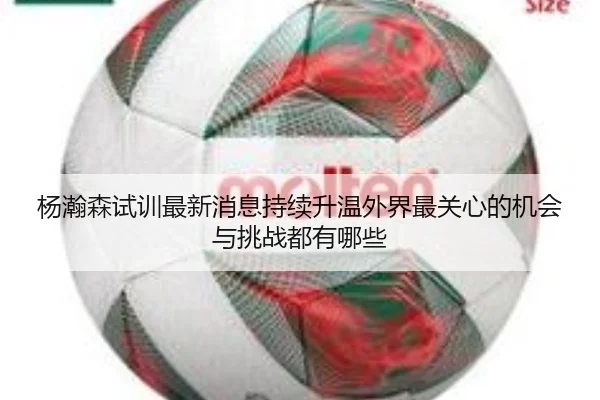 杨瀚森试训最新消息持续升温外界最关心的机会与挑战都有哪些